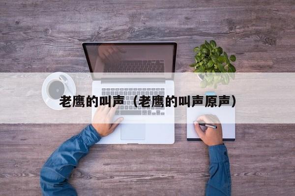 老鹰的叫声（老鹰的叫声原声）